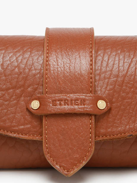 Sac Bandoulière S Agnes Cuir Etrier Marron agnes EAGC205S vue secondaire 3